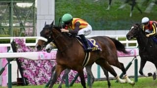 【オークス枠順確定】ステレンボッシュは4枠7番、スウィープフィートは7枠13番