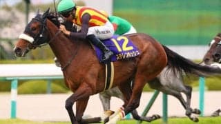 【オークス】ステレンボッシュは4枠7番へ