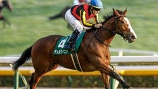 オークス週に出走する“オークス馬の仔”は何頭いる？ 