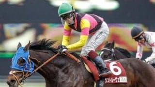 【目黒記念】シュトルーヴェ、サトノグランツらが登録