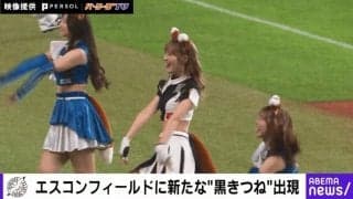 セクシーすぎる新コスチュームがたまらない…！ “ダブルきつねダンス”が話題に　日本ハム&ロッテのチアによる夢のコラボが野球ファンのハートを鷲掴み