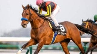 【目黒記念展望】ダービーデーの最終レース、ベテランに注目したい