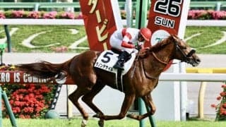 【日本ダービー】ダノンデサイルが突き抜ける！横山典弘騎手最年長ダービー制覇