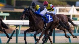 【鳴尾記念登録馬】ヨーホーレイクなど15頭