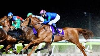 【川崎・関東オークス】JRAアンモシエラなどが選定