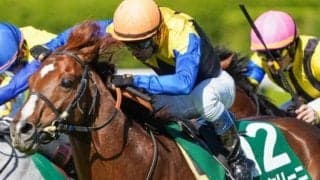 鳴尾記念は“池江記念”!? 調教師の同一重賞最多勝利タイとなる8勝目なるか