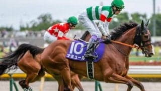 武豊騎手ウオッカ以来の安田記念4勝目へ コンビ継続でリベンジを狙う