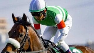 古馬マイル王決定戦は9文字馬名が苦戦!? 安田記念はどうなる