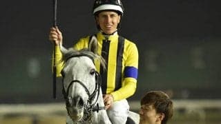 国内外重賞2勝のシルヴァーソニックが抹消 今後は乗馬に