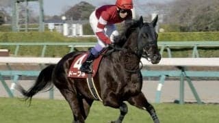 ウマ娘・藤田晋オーナーの5億円馬が安田記念参戦 約2年半ぶりのGI舞台でタイトル狙う
