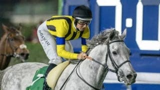 シルヴァーソニックの競走馬登録抹消…海外重賞でも活躍