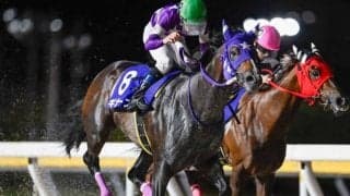 【船橋・若潮スプリント結果】ギガースが差し切って重賞3勝目を挙げる