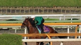 ベラジオオペラなど、宝塚記念追い切り速報/栗東トレセンニュース
