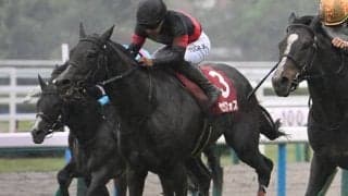 【安田記念・調教後馬体重】セリフォスは508kg、ロマンチックウォリアーは521kg