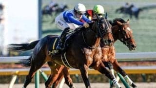 【鳴尾記念出走馬・騎手確定】ロードデルレイ＆川田将雅騎手、ボッケリーニ＆J.モレイラ騎手など14頭