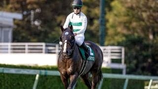 【安田記念】18頭の香港馬名・馬名意味を紹介！「星光速」「地神力」「赤夢」はどの馬？