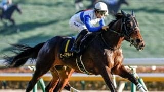 【鳴尾記念予想】今年は“京都”での開催 立ち回りの上手さが勝利のカギ握る