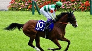 武豊騎手 今週の騎乗馬…安田記念はナミュールとのコンビ