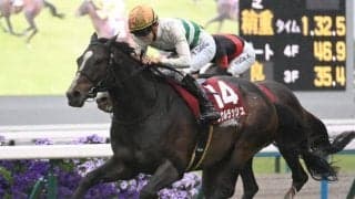 東京芝は今後の雨量がカギ 雨中のレースとなればソウルラッシュが中心