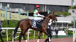 【エプソムカップ登録馬】レーベンスティールなど19頭