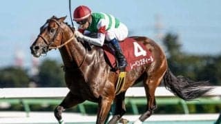 【エプソムC展望】後のGI活躍馬も多い一戦、レーベンスティールの巻き返しに期待