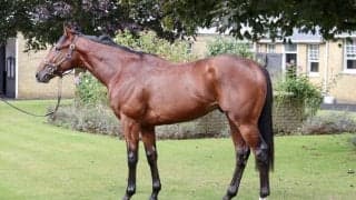 英ソーデュースが初勝利…キーファーズ所有馬