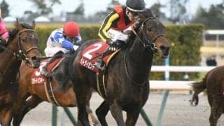 【AI予想・エプソムC】ビッグレースでの活躍馬を多数送り出す一戦 格上といえる実力馬の復活に期待！