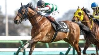 【エプソムC予想】春の東京開催最後の平地重賞 瞬発力よりも長く使える脚が勝負を分ける
