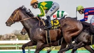 【函館SS予想】初夏到来を告げる電撃戦 快足自慢が北の大地に集結