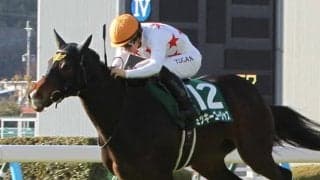 【マーメイドS登録馬】ミッキーゴージャスなど24頭