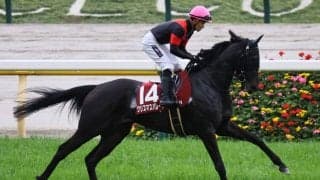 【関東オークス】クリスマスパレードは7枠9番へ