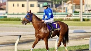 【さきたま杯】田中博師「今後選択肢も増えた」レモンポップが断然の人気に応える