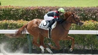 【東京1R】アルーリングタイムが初勝利…リアルインパクト産駒