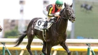 来年が“黄金世代”の可能性？ 2歳戦好調の種牡馬「キタサンブラック」