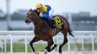 【帝王賞】武豊ノットゥルノは4枠5番