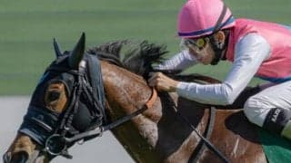 九州産馬ヨカヨカ以来の北九州記念3歳馬Vへ 前走葵S組が軽量を生かして粘りこむ
