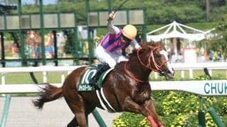 【北九州記念枠順確定】ジャスパークローネは6枠11番、ピューロマジックは6枠12番