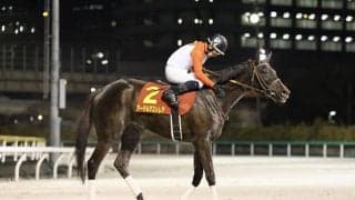 【川崎競馬】スパーキングレディーカップ出走予定馬…アーテルアストレアなど