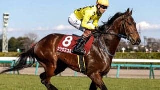 福島芝は欧州血統に注意 ペースが流れそうなラジオNIKKEI賞は差し馬優勢か