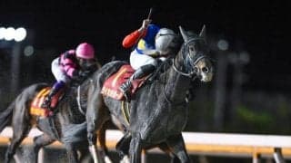 【川崎・スパーキングレディーC枠順】ライオットガールは6枠7番、スピーディキックは4枠4番