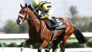【七夕賞想定騎手】キングズパレスは松岡正海騎手、レッドラディエンスは戸崎圭太騎手