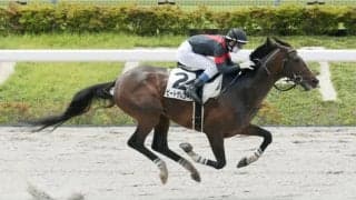 【東京1R】上野「終いで脚を使うことはわかっていた」ビートザレコードが断然の支持に応える