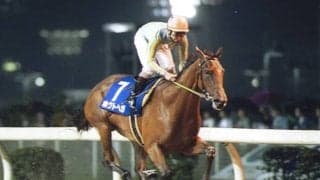 交流重賞10連勝の元祖“砂の怪物” スパーキングレディーCに名を残すホクトベガとは？