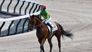 【函館2歳S登録馬】サトノカルナバルなど19頭