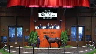 【セレクトセール2024】5億9000万円ホース飛び出す…キタサンブラック産駒