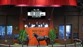 【セレクトセール2024】前年比8.4％増で歴代最高の約145億円を売り上げ大盛況 億超えは32頭/1歳セッション