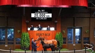 【セレクトセール2024】レッドオーヴァルの2024は2億円 「ミッキー」の冠名で知られる野田みづき氏が落札