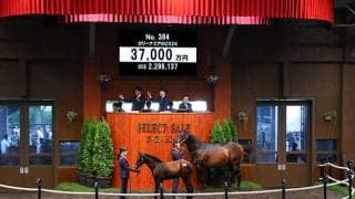 【セレクトセール2024】カリーナミアの2024は3億7000万円 「アスク」の冠名で知られる廣崎利洋HD(株)が落札