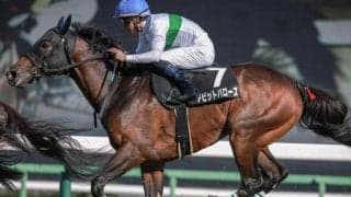 武豊騎手が11年ぶり函館記念制覇へ 猪熊オーナーとの“3度目の正直”なるか