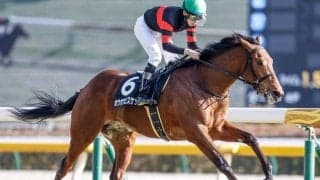 【函館記念出走馬・騎手確定】ホウオウビスケッツ＆岩田康誠騎手、デビットバローズ＆武豊騎手など16頭